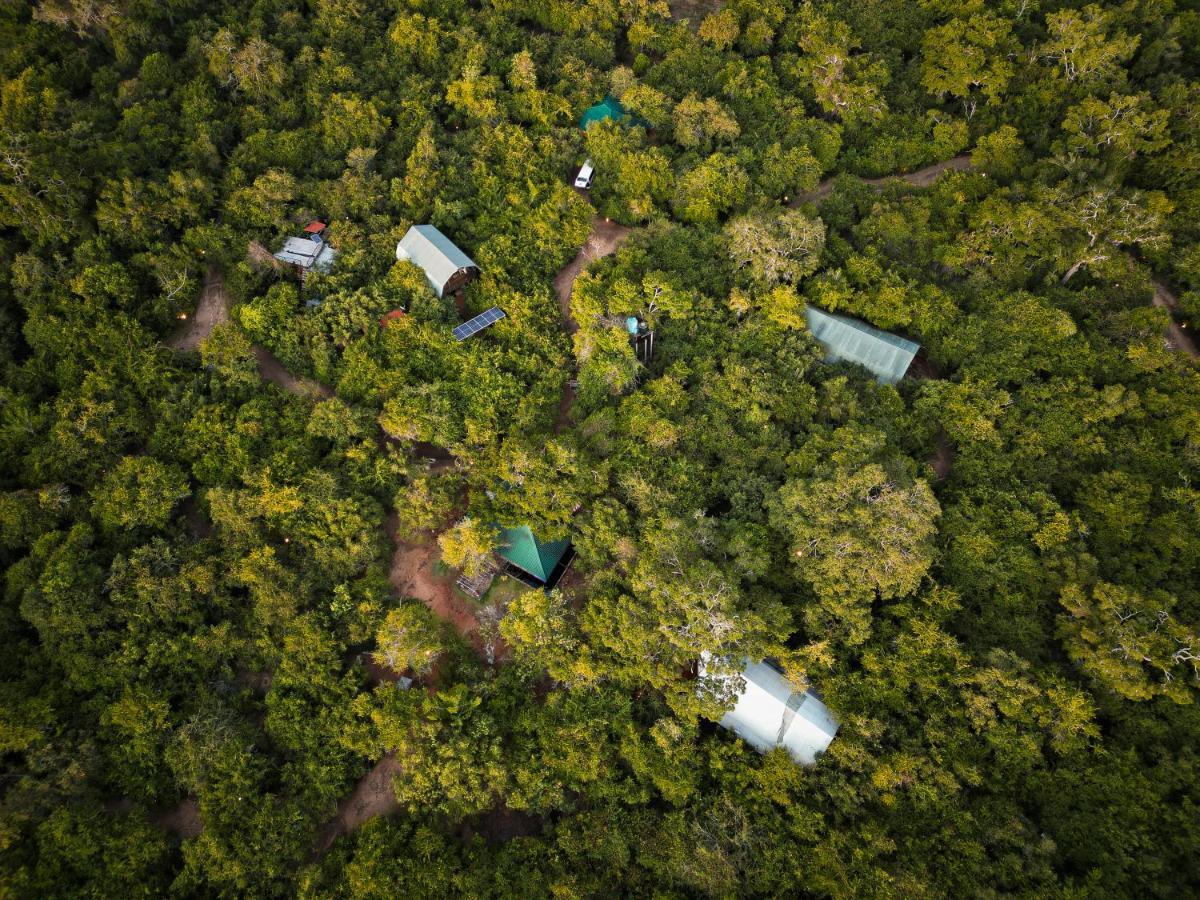 Leopard Reach Yala By Seven Angels Hotel Tissamaharama Exterior photo